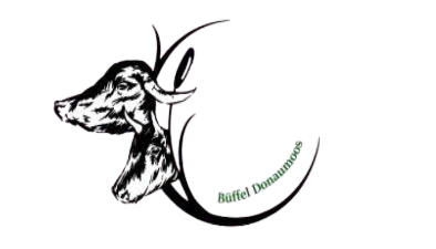 Wasserbüffel Riedheim